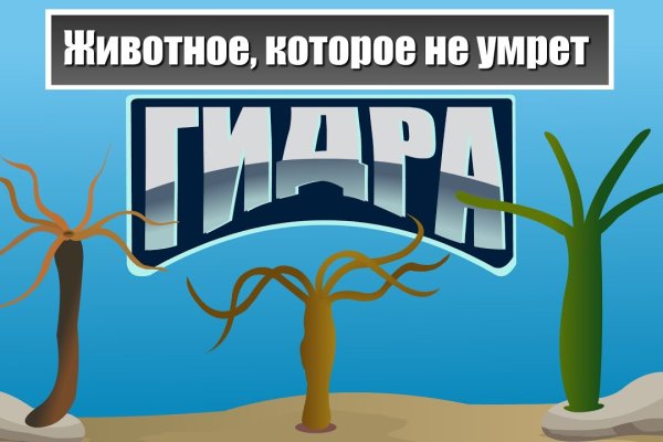 Кракен онион зеркала зеркало